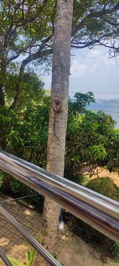 Jungle Beach Restaurant And Hotel-Jbr Galle Dış mekan fotoğraf